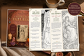 Colour Your Intuition: A Tarot Colouring Journey